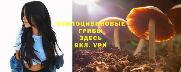 mix Козельск