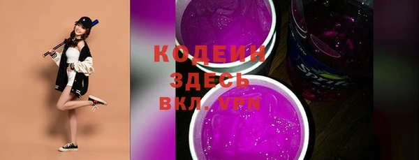 молекула духа Козловка