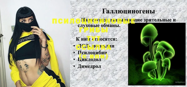 2c-b Кодинск