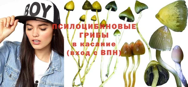 mix Козельск