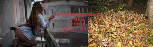 MDMA Premium VHQ Кукмор