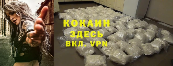 молекула духа Козловка